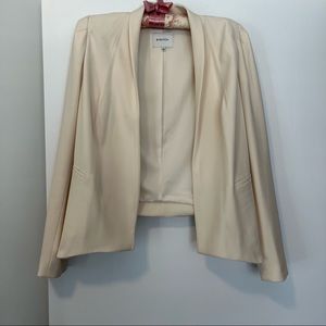 Aritzia Babaton Blazer
